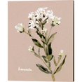 thumbnail image 3 of Great Art Now White Bonesets by Emma Caroline 2 Piece Canvas Art Set Each 12W x 15H, 3 of 3
