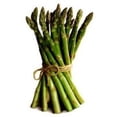 thumbnail image 3 of 100 MARY WASHINGTON ASPARAGUS Officinalis Perennial Vegetable Seeds, 3 of 4