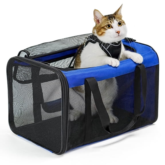 Conlun Cat Carrier,Soft-Sided Cat Carriers with 4-Sided Mesh,Airline Approved Pet Transport Carrier,Collapsible Cat Travel Carrier-Blue