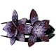 thumbnail image 1 of onlyliua Ofertas Flash Pinza para El Pelo con Flores y Diamantes de Imitación para Mujer, Elegante, con Forma de Disco, con Forma de Cola de Golondrina, para El Pelo, Joyería para Mujer, Pinza para E, 1 of 2