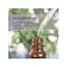 thumbnail image 5 of NOW FOODS ACEITES ESENCIALES BUG BAN 1 ONZA LÍQUIDA (30 ML), 5 of 6