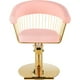 thumbnail image 2 of Silla Circular Gold Estetica Spa Ajustable Giro 360 Rosa Nanofort, 2 of 8