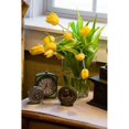 thumbnail image 2 of Yellow Tulips I Poster Print by Philip Clayton-Thompson (12 x 18), 2 of 2