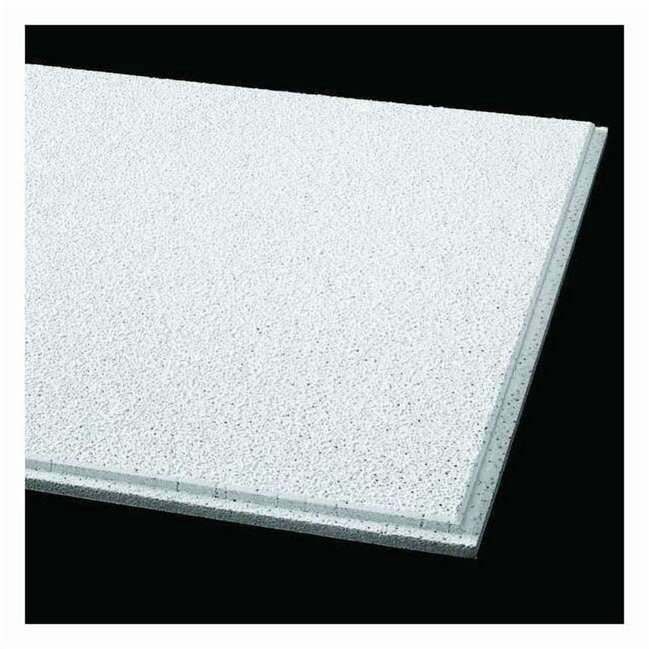 Armstrong Clean Room VL Square Lay In 2'x4' 870B - Walmart.com