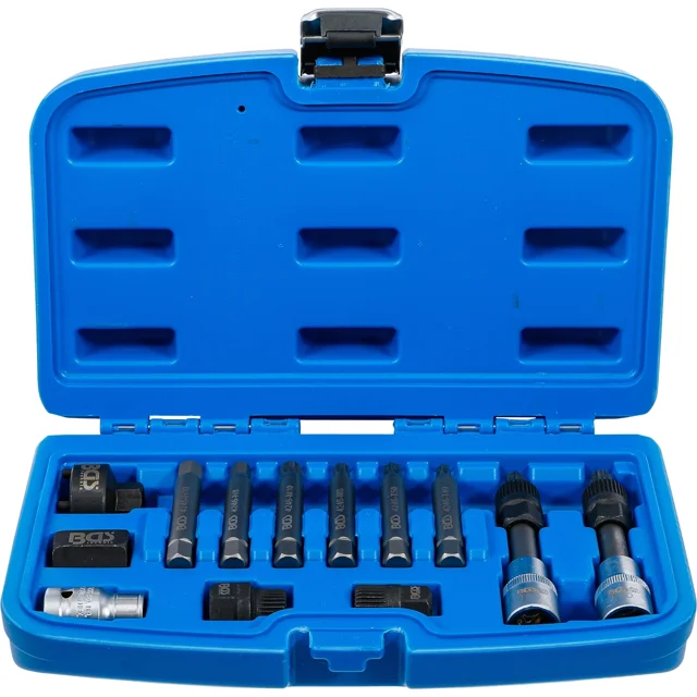 12 DADOS PARA POLEAS DE ALTERNADOR 1/2 | BGS 4246