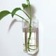 thumbnail image 2 of Wosthever Maceta de flor para colgar en la pared de amplia aplicación con maceteros de vidrio para colgar en la pared duraderos y resistentes Jardín y Patio, 2 of 6