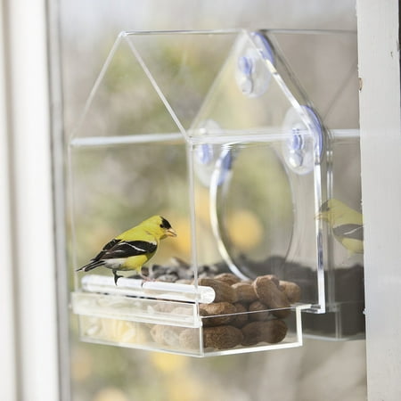 best window bird feeder one-way mirror