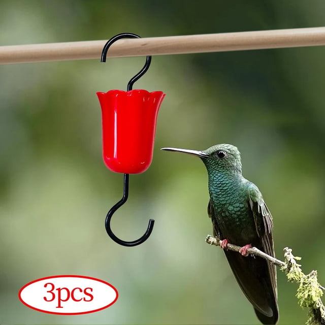 alimentador de foso de hormigas de 3 piezas con cepillo de limpieza para césped de de Baoblaze foso de colibrí