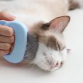 thumbnail image 1 of Tmvgtek Cepillo De Masaje Para Mascotas Gato Eliminación De Gatitos Limpiador De Aseo De Cabello Suelto (Azul) Tmvgtek Para estrenar, 1 of 6