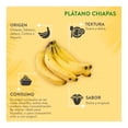 thumbnail image 4 of Penca de plátano Chiapas por kilo, 4 of 4