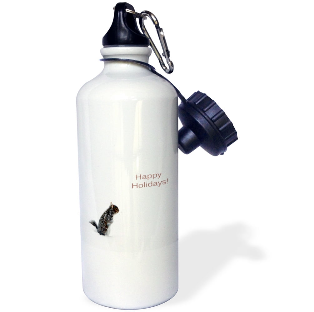 3dRose Little Squirrel on a Winters Day, Happy Holidays, Sports Water Bottle, 21oz by Supplier Generic