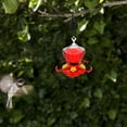 thumbnail image 4 of Mupvlun 16 oz Hummingbird Feeder - Outdoor Feeder with Built-in Ant Guard & Bee-Proof Design, 5 Feeding Ports, Wide Mouth for Easy Filling, Detachable Base for Easy Cleaning Red, 4 of 8