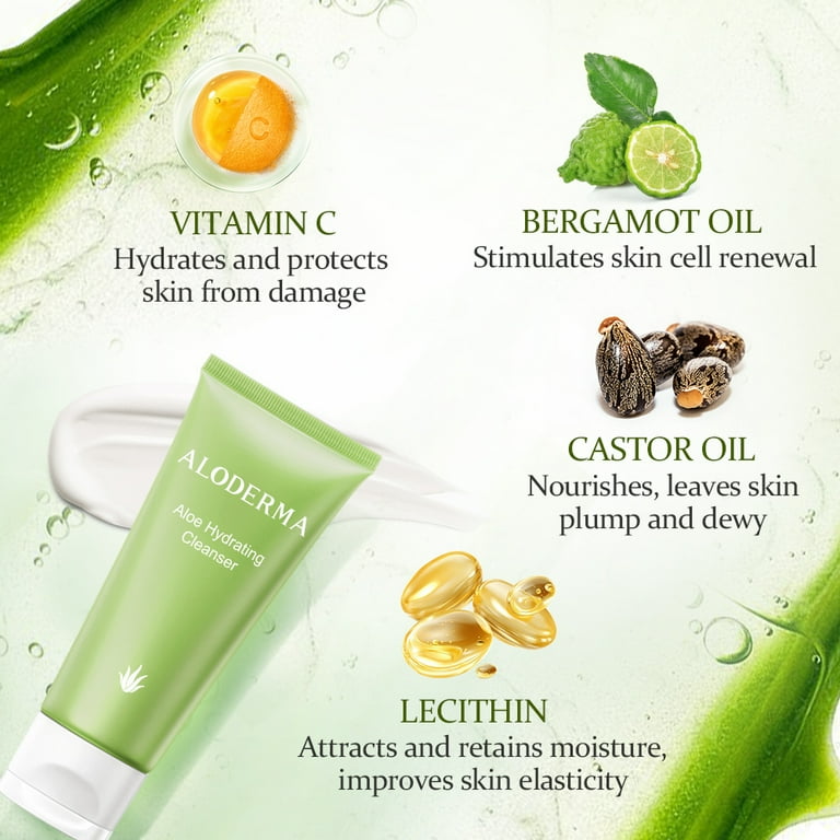 erde für aloe vera kaufen Aloe vera – Rosetten-Sukkulente kaufen main image 1