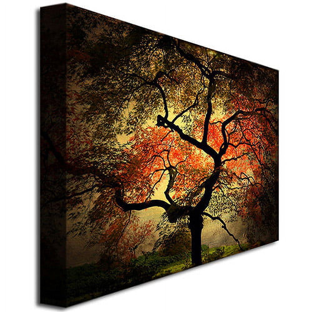 Trademark Art "Japanese I" Canvas Art by Philippe Sainte-Laudy