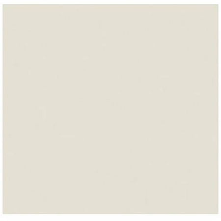 - 12 x 12 Cardstock - 100lb. Natural (1000 Qty.)