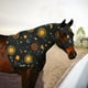 thumbnail image 1 of Capucha Impermeable Para Caballos Con Cremallera: Diseño Sin Orejas De Ajuste Ceñido Y Orificios Para Los Ojos Extra Grandes Para La Cara, Los Hombros, La Melena, El Pecho Y La Cruz, Perfecto Para Sho, 1 of 1