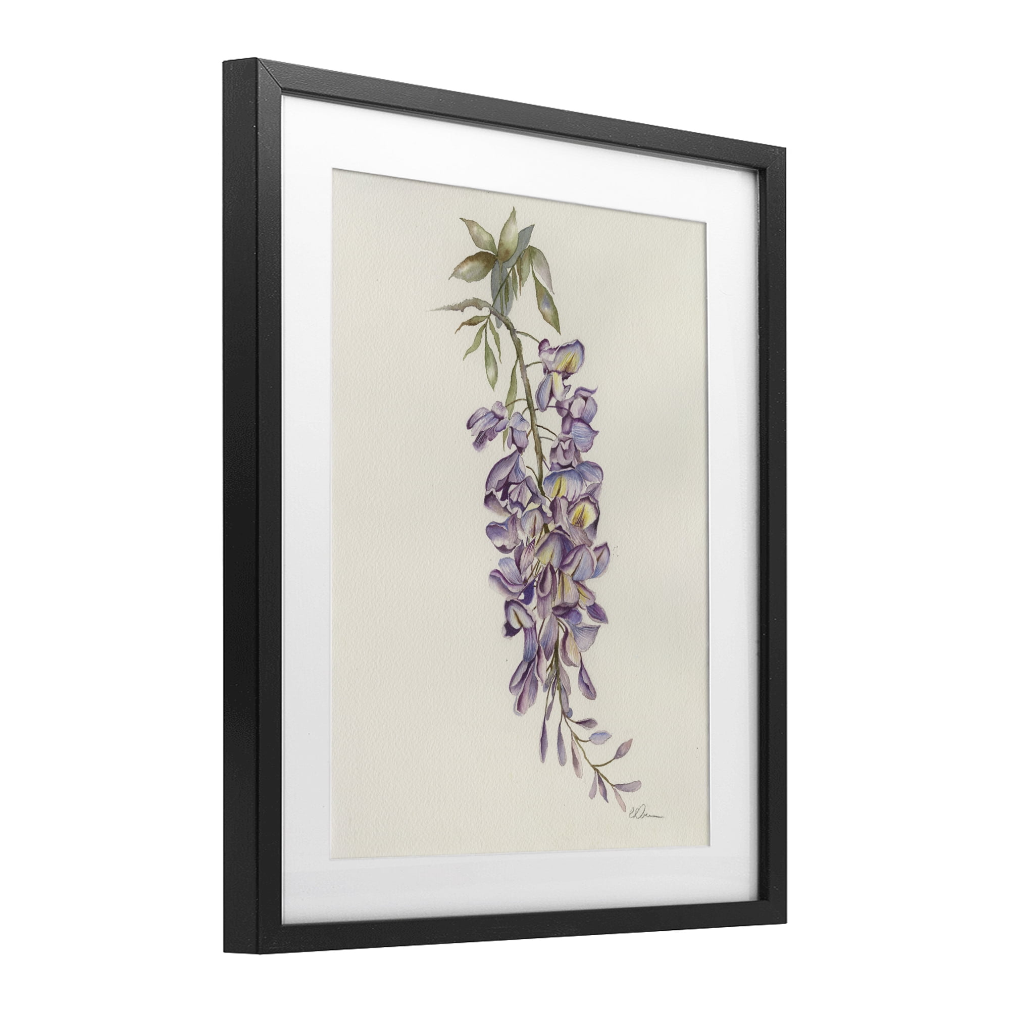 Stupell Industries Delicate Hyacinths Study Black Framed Print Under Glass, design by Cady Driver