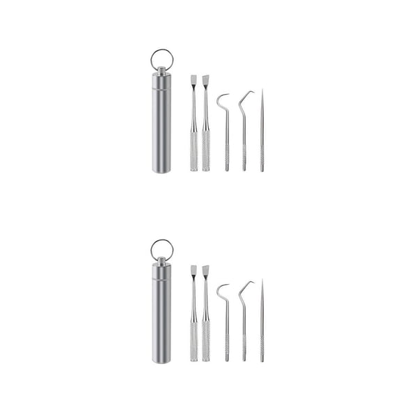 Palillo de Dientes Portátil Naiovety 5PCS 2Conjunto de Acero Inoxidable