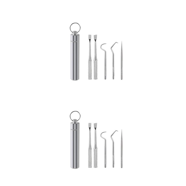 Injueey Palillo de Limpieza de de viaje Selección Barbacoa Fruta Tenedor Reutilizable Lavable Multifuncional Flosser Flosser con 5PCS 2piezas Injueey CBP259788