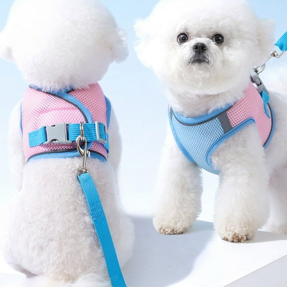 Goattoy Dog Harness Small Sized Dog Breathable Lightweight Easy Walk Vest Dog Harnesses for Easy Walking and Training Pet Supplies,Purple-XXL