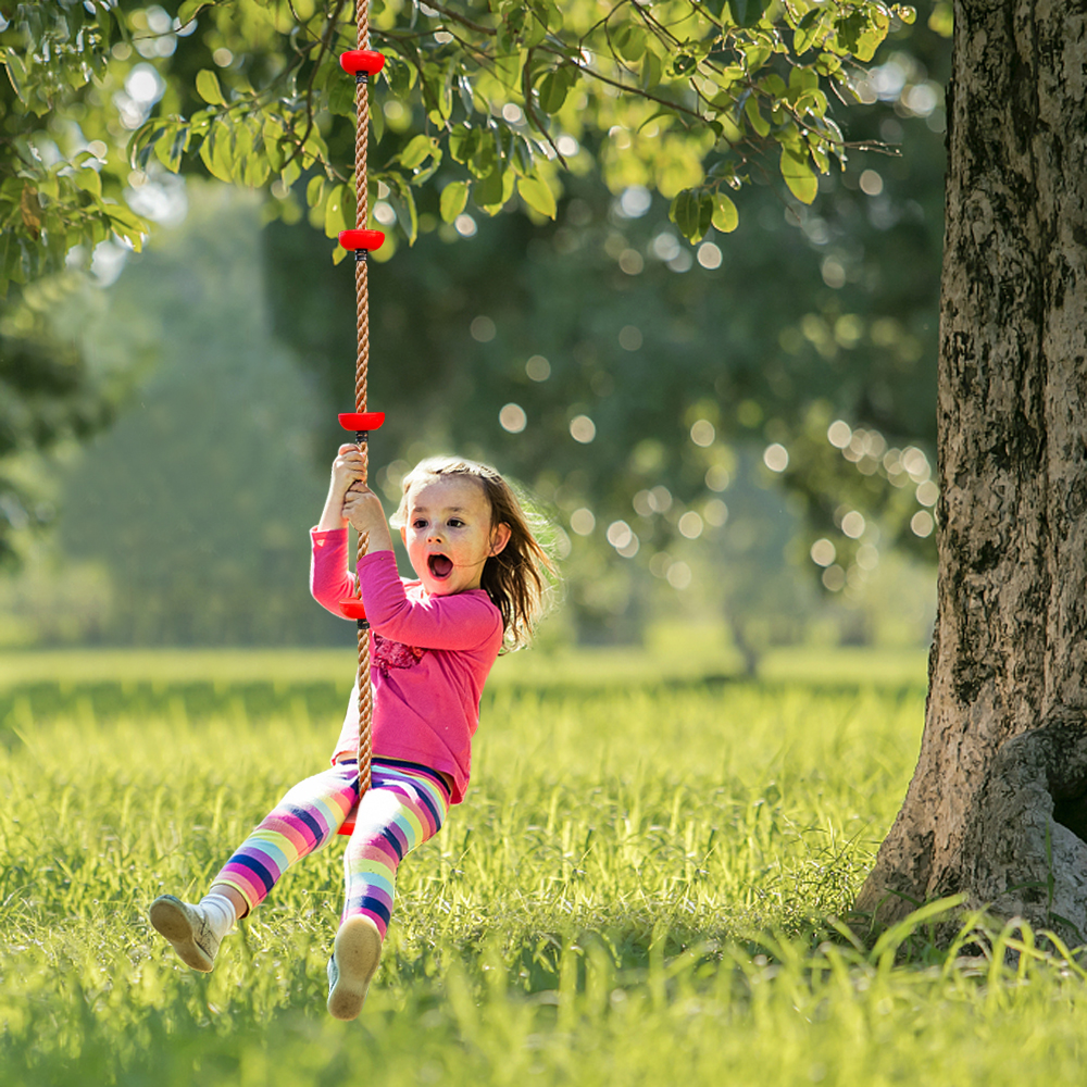 1 Jeu Corde descalade /à Disque Swing Rope Accessoires pour terrains de Jeux ext/érieurs Y Compris Mousqueton pour Aire de Jeux ext/érieure darbre pour Enfants