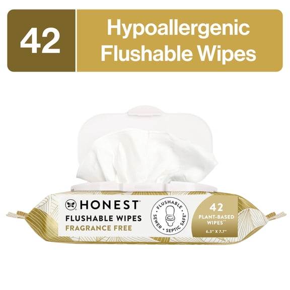 The Honest Company Flushable Wipes for Adults, Fragrance Free and Hypoallergenic Wet Wipes. 42 Count, Gilded Wings