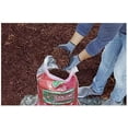 thumbnail image 4 of Lot of 6 bags total 9 Cu. Ft. Scotts Earthgro RED Mulch. delivered to ur door, 4 of 6