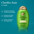 thumbnail image 5 of OGX Clarifying Strength and Rosemary Mint Hair Conditioner, 13 fl. oz, 5 of 11
