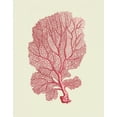thumbnail image 2 of Fab Funky 26x32 White Modern Wood Framed Museum Art Print Titled - Corals Coral On Cream c, 2 of 4