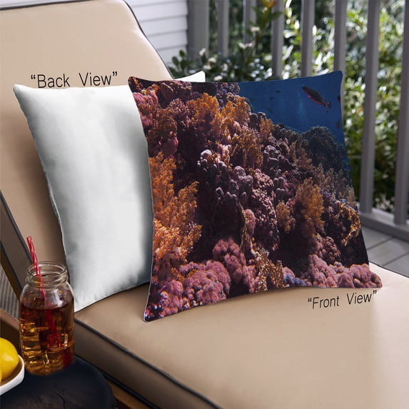 Ahgly Company Sites Great Barrier Reef Outdoor Throw Pillow, 18 inch by 18 inch
