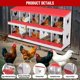 thumbnail image 1 of Historyli Nido para gallinas,de metal,con 10 compartimentos,para gallinero,fácil de recoger y limpiar,duradero,verde,sin patas,color rojo., 1 of 6