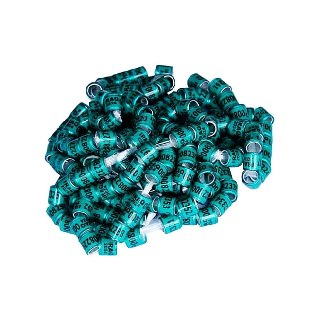 100 piezas anillos para pata de paloma Yuyangstore Bandas de identificación colores brillantes 2024