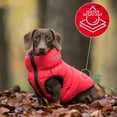 thumbnail image 7 of Hugo & Hudson Reversible Dog Puffer Jacket Coat - Red & Navy - L55, 7 of 7