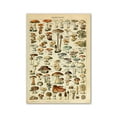 thumbnail image 1 of Retro Poster Mushroom Biological Figure Decorative Painting Core Teaching Study Living Room Canvas Painting, 1 of 5