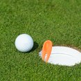 thumbnail image 3 of 30pcs Professional Golfs Divot Forks Green Lawn Repair Tools Golfs Accessories, 3 of 5