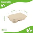 thumbnail image 2 of 9 x 6 inch 2-Compartment Hinged Containers | Tree-Less™ Compostable Molded Fiber, 2 of 2