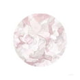 thumbnail image 3 of Nai, Danhui 12x12 Black Modern Framed Museum Art Print Titled - Leafy Abstract Circle II Blush Gray, 3 of 5