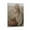 Frame-style, variant on Sydney Sweeney Art Popular Actress Sexy Poster Canvas Wall Art Prints Poster Gifts Photo Picture Painting Posters Room Decor Home Decorative 12x18inch(30x45cm)