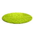 Fanteecy Area Rugs for Living Room Home Decor Soft Bath Bedroom Non