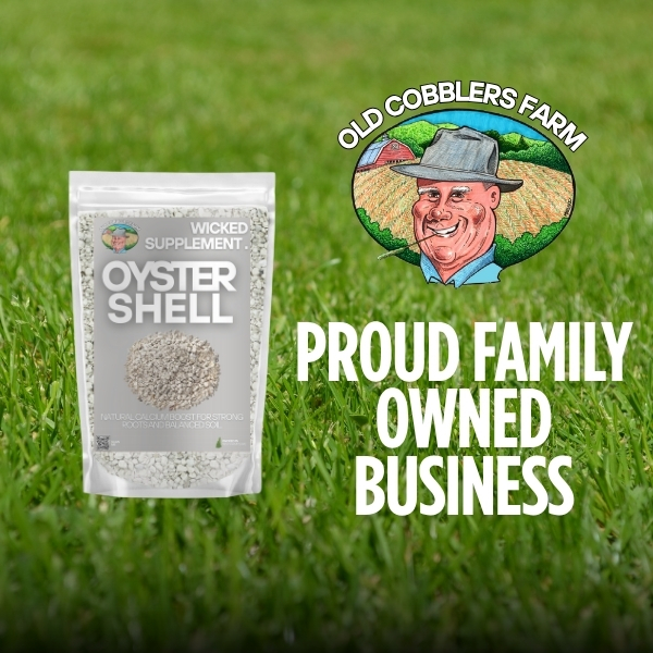 Old Cobblers Farm™ Organic Oyster Shell Calcium Supplement - Crushed Shells for Plants, Chickens, and Compost - Natural Fertilizer Boost for Healthy Gardens (15 lbs)