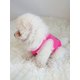 thumbnail image 5 of 2pcs/set Printed Pet Clothes, Anti-flea, Reduce Hair Loss, Heat-insulating And Breathable Dog Vest, Suitable For Indoor And Outdoor Cats And Dogs In S, 5 of 5