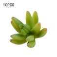 thumbnail image 3 of 10x Fake Succulents Small Vivid Useful Simulated Plants Multi-functional Lifelike Photo Props for Household Yards Lawn Flowerpot Type 36, 3 of 9