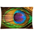 thumbnail image 1 of BOSDECO Magic Soft Peacock Tail Pillow Cases 20x30 inches Two Sides Print, 1 of 1