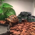 thumbnail image 2 of LLDYYDS Reptile Hides and Caves Simulation Rock Reptile Hideout Terrarium Habitat Décor for Bearded Dragon Lizards Ball Python Snakes One Size, 2 of 5