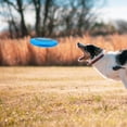 thumbnail image 4 of OULII Outdoor Sport Flying Disc in Blue Durable Pe Material for Smooth Flight Suitable for Training and Competition, 4 of 8