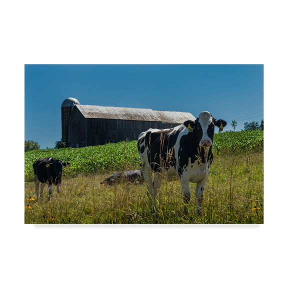 Trademark Fine Art 'Dairy Farm Rustic' Canvas Art by Brenda Petrella Photography Llc