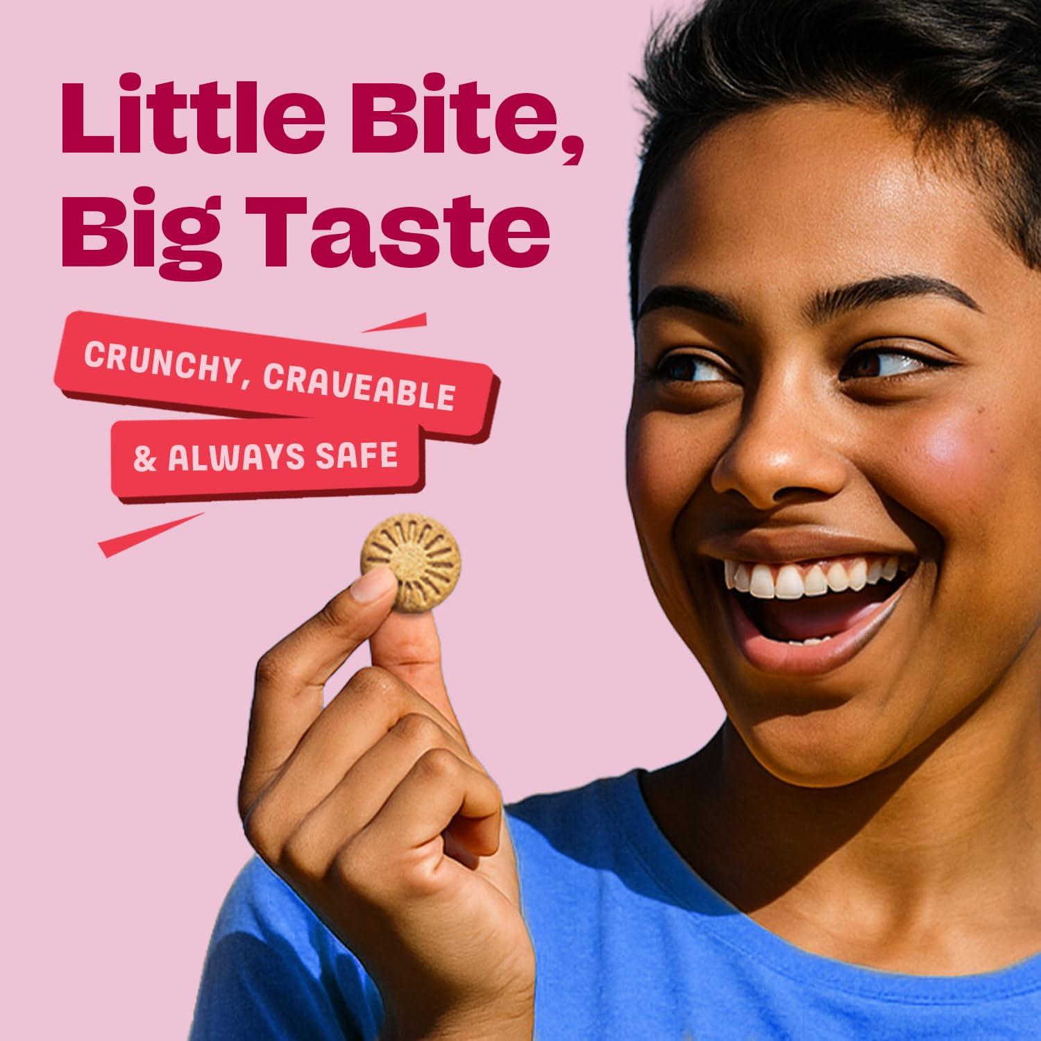 Partake Foods Gluten Free Classic Graham Cracker Minis - Vegan - Free From the Top 9 Allergens Including Dairy, Wheat, Soy, Eggs, & Peanuts - Non GMO - Safe School & Office Snack (20 Packs, 0.67 oz)