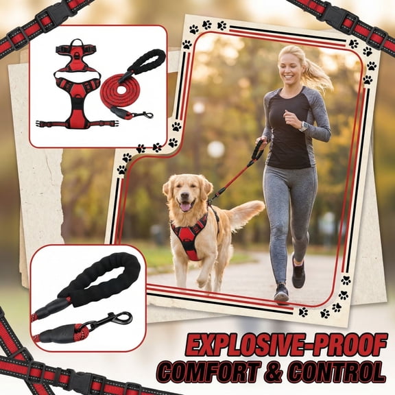 dgysar No Pull Dog Harness and Leash Set Explosion Proof Tugging Protection Chest Strap for Medium Dogs Outdoor Training Red XL