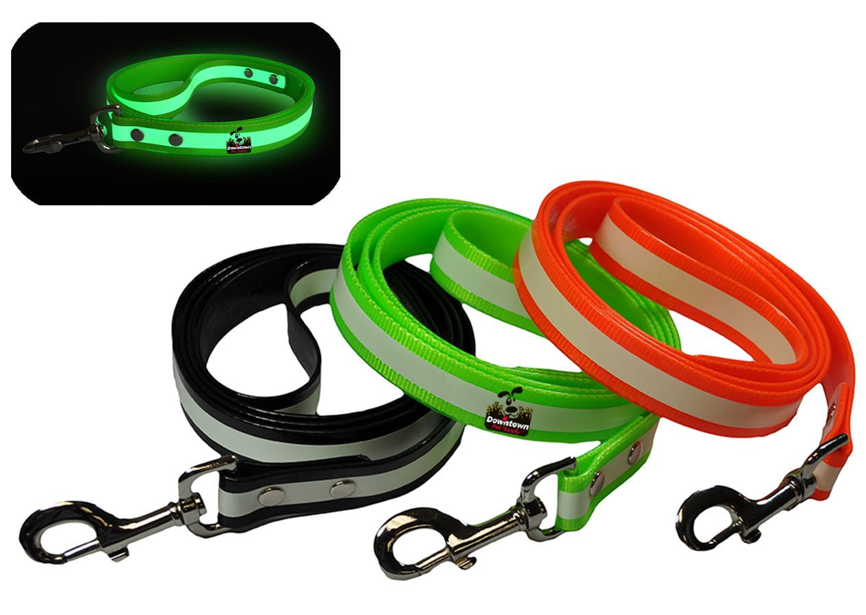 New Glow In the Dark Dog and Cat Safety Leash Lead, Durable Strong TPU