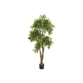 thumbnail image 1 of Nearly Natural Ruscus Tree - Arbre Artificiel - 68,9 Po - Vert, 1 of 1